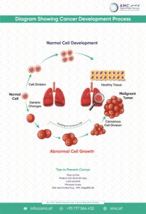Cancer Development Process